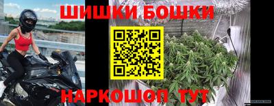 Альфа ПВП Шахты