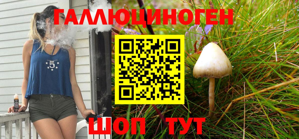 Псилоцибиновые грибы Psilocybine cubensis  Галлюциногенные грибы прущие грибы  Людиново  купить  сайты  Вход с VPN 