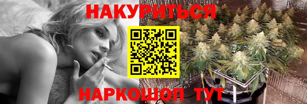 Конопля OG Kush Людиново